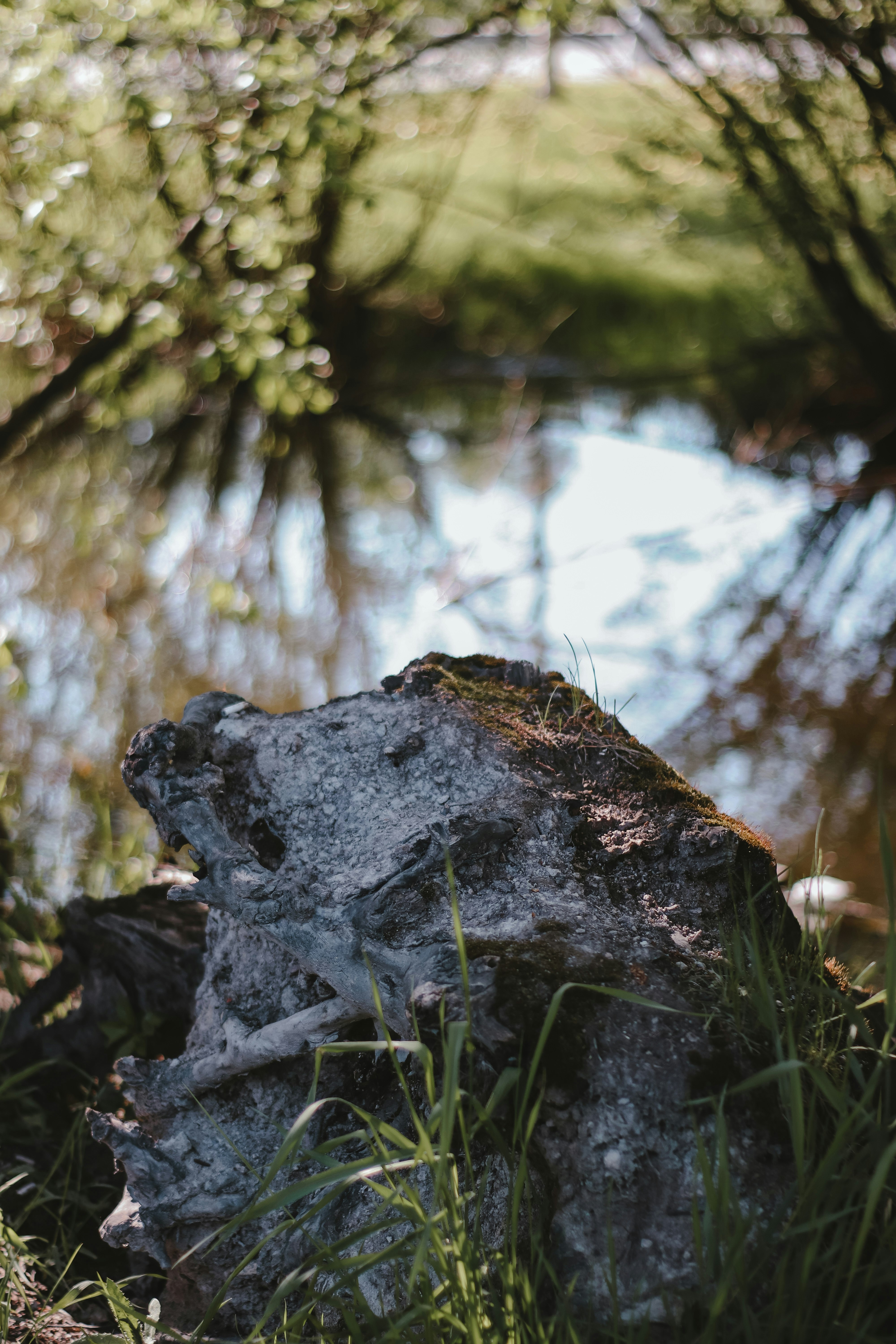 gray rock near green grass during daytime